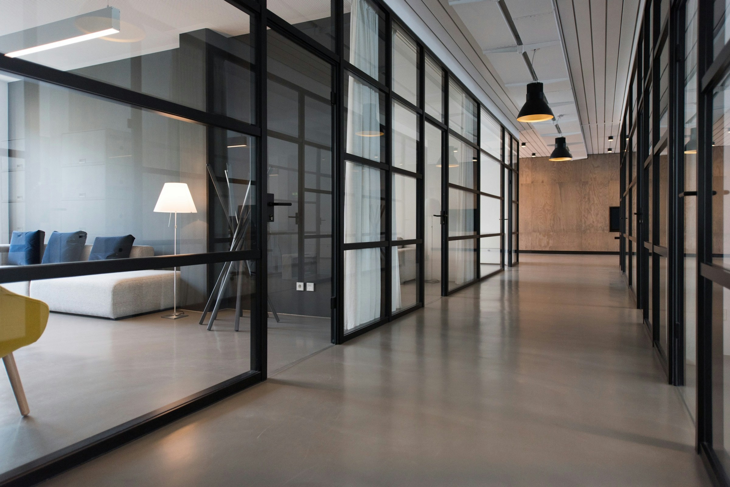 Contemporary workplace with natural materials and generous architectural light